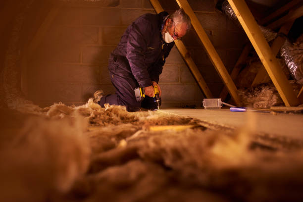 Insulation Repair Services in Millbrook, AL